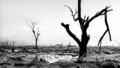 Days that Shook the World - Series 1: Hiroshima