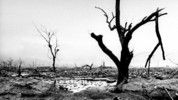 Days that Shook the World: Hiroshima