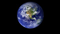 Our Planet: Corals and Cats