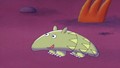 Rathad An Sutha: Aonghas an Armadillo (Adam the Armadillo)
