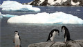 James Follett's Ice: Sun, 13 Feb 2005