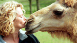 Animal Park: Series 7: 30 minute reversions: Episode 18