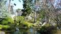 Around the World in 80 Gardens: 6. China and Japan