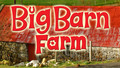 Big Barn Farm: 14. He's Got to Go