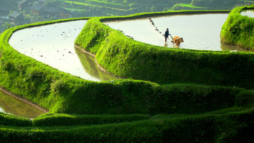 Wild China: Heart of the Dragon