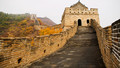 The Essay - Nature in China: 2. Wild Wall - The Unkempt and Unrestored Wall