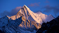The Essay - Nature in China: 4. Wild Mountain - Endings