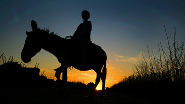 Travels With a Donkey: Setting Out