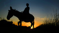 Travels With a Donkey: 7. The Heart of the Country