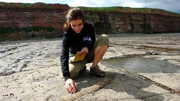 Fossil Detectives: Central England