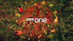 The Cat and the Canary