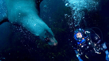 Oceans: Southern Ocean