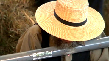 Trouble in Amish Paradise