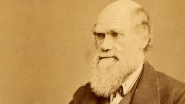 Darwin Songs