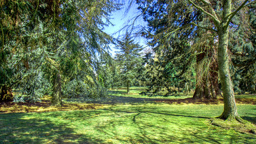 In Search of England's Green and Pleasant Land: London