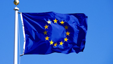 European Elections 09: Part 1