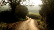 21. Lincolnshire: Series 9