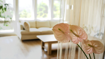 Hear and Now: Cut & Splice: Living Rooms: Episode 2