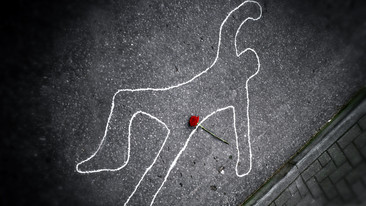Comedy Catch Up: Creme de la Crime