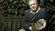 David Attenborough's Life Stories: 6. Bower Birds