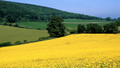 Open Country: Sussex Visions