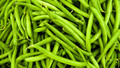 Farming Today: Tue, 14 Jul 2009