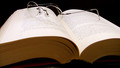 The Book Café: Mon, 13 Jul 2009