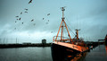 Shipping Forecast: Mon, 20 Jul 2009