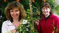 Beechgrove Garden - 2009: Episode 13
