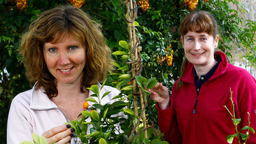 Beechgrove Garden: 2009: Episode 13