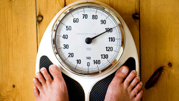 Mischief: Who Made Me Fat?