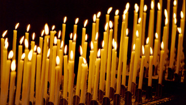 Prayer for the Day: 07/11/2009