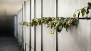 Episode 2: Berlin Wall 20th Anniversary