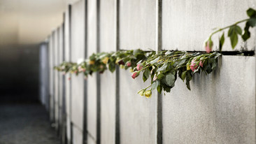 Afternoon on 3: Berlin Wall 20th Anniversary: Episode 2