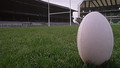 Rygbi: Fri, 13 Nov 2009