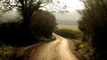 Escape to the Country - Series 10: Somerset