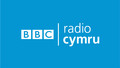 Newyddion: Sat, 14 Nov 2009