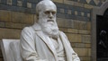 Darwin: Episode 5