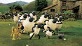 Shaun the Sheep - Series 2: 8. Bagpipe Buddy