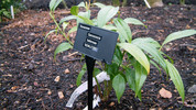 Gardeners' Question Time: Fri, 18 Dec 2009
