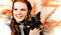 My Judy Garland Life: 2. Have Yourself a Merry Little Christmas