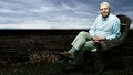 David Attenborough's Life Stories: 2. Monstrous Flowers
