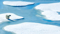 The Environment Debate: Tue, 15 Dec 2009