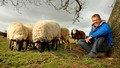 Countryfile: Countryfile at Christmas