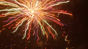 Happy New Year: Happy New Year