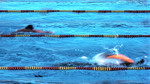 Swimming: Duel in the Pool - Europe v USA