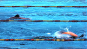 Swimming: Duel in the Pool - Europe v USA: Swimming: Duel in the Pool - Europe v USA