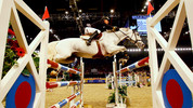 Olympia Horse Show: World Cup Show Jumping: 2009