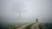 1. Edward Thomas's Old Man: The Path and the Poem