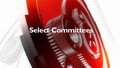 Select Committees: Equality and Human Rights